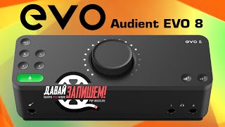 Audient Evo 8 audio interface with Loopback 