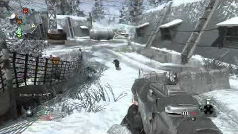 Black Ops - Slaughtering All Enemy Attack Dogs on Array - Dominattion