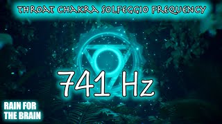 1 Hour Throat Chakra Meditation | 741 Hz