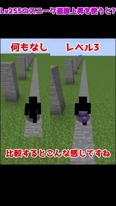 マイクラマエスケスニーク