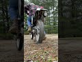 A little dirt throwing… #shorts #dr350 #suzuki #supermoto #supermotobikes #enduro #dualsport