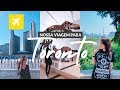 Primeira vez em Toronto! O que fazer na cidade? 🇨🇦