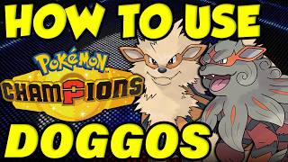 HOW TO USE ARCANINE IN POKEMON CHAMPIONS! Hisui Arcanine Moveset Guide | Best Arcanine Builds