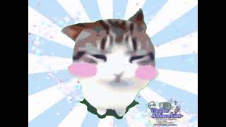 dam dam diri diri 𐔌՞ ܸ.ˬ.ܸ՞𐦯 (gato lindo!!)