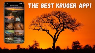 The best APP about the Kruger National Park! | Kruger Explorer