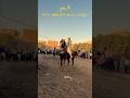 مرماح مولد سيدي عبد الرحيم القناوي قنا ٢٠٢٥