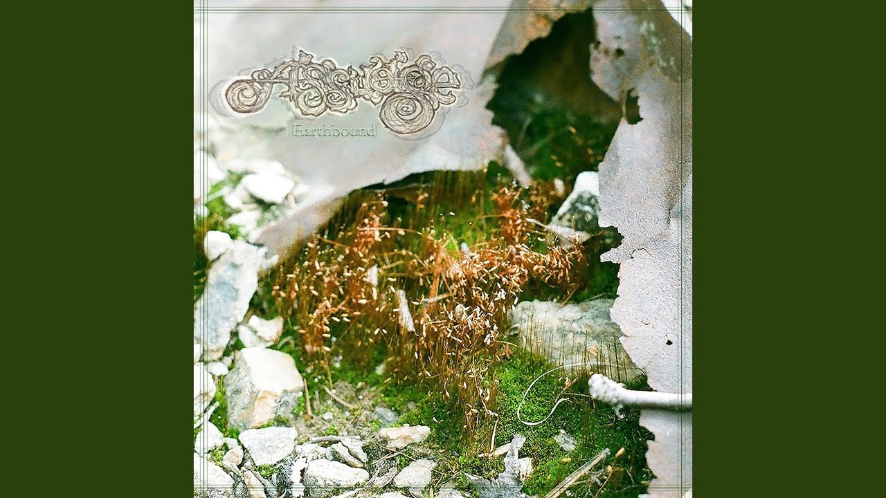 Watch Pareidolia on YouTube Watch Pareidolia on YouTube