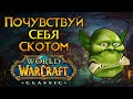 Вся правда про Everlook World of Warcraft: Classic