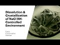 Dissolution/Crystallization of NaCl RH-Controlled Environment