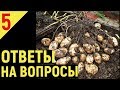 ВЫРАЩИВАНИЕ КАРТОФЕЛЯ от А до Я часть 5 Ответы на ваши вопросы