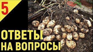 ВЫРАЩИВАНИЕ КАРТОФЕЛЯ от А до Я часть 5 Ответы на ваши вопросы