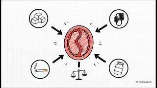 Comprehensive Clinical Guide to Erectile Dysfunction Management