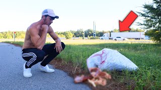 We found a dead animal body on the highway...