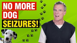 CBD Oil For Dog Seizures (5 Action Steps and 1 AMAZING Remedy)