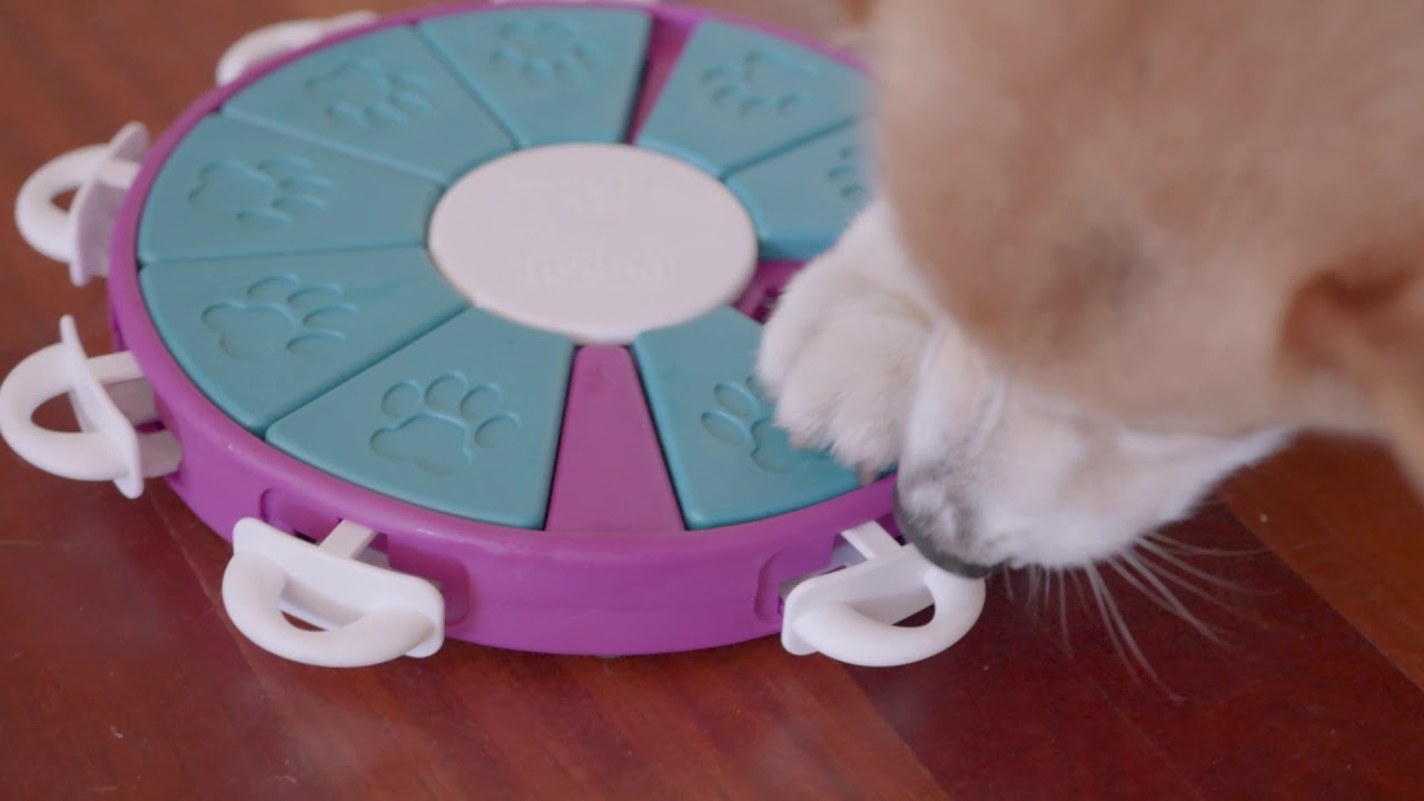 Nina Ottosson Dog Twister Treat Puzzle Toy by Outward Hound 