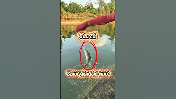 Đỉnh cao câu cá không cần cần câu #fishing #funny #treding