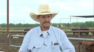 FTGU #1415 The Science of Choosing a Beef Herd Sire