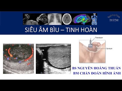 Video: Xương Cựa Tinh Hoàn