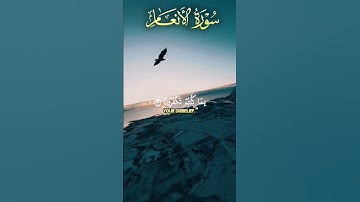 ريان المحيسني سورة الأنعام