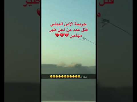 الامن البيئي