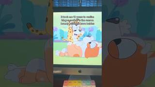 Same Hair, Same Look