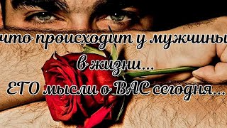 :      ,    ,     