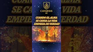 ENTENDÍ QUE EL ALMA NO SE EXPANDE SI SIGUE AFERRADA A LO QUE LA ENCADENA #catarsisaltoyclaro