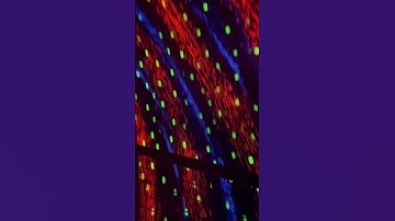 Vortex tunnel illusion #iilusion￼￼