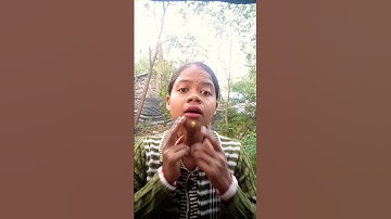 How I Cured a Bug Bite with Yogurt in the Wild Survival Hacks😱😰😁😮#shorts