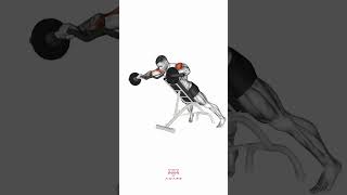EZ Barbell Anti Gravity Press