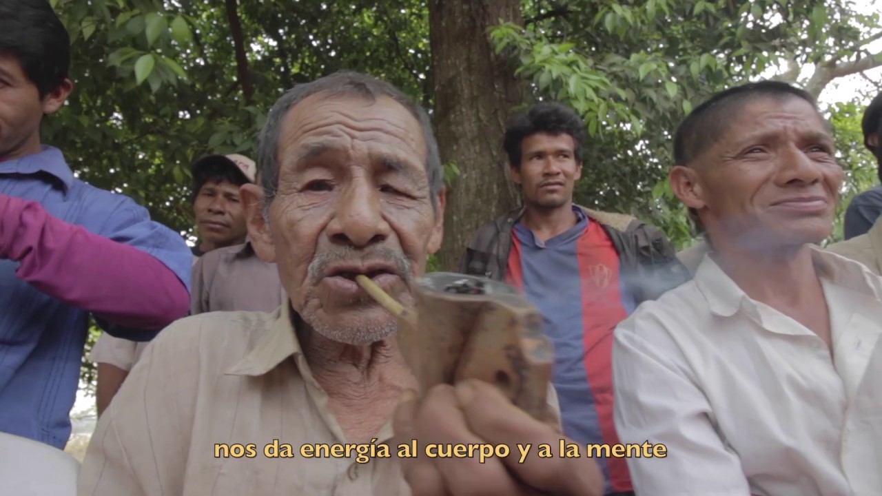 Cultura Viva Mbya Guarani