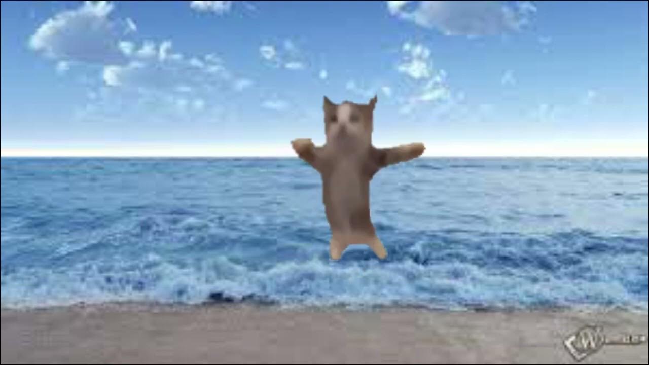 Шнапи шнапи шнапи мем с котом