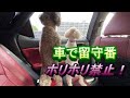 209.手術前の動画です。ママが買物中は車で仲良く留守番出来るかな？