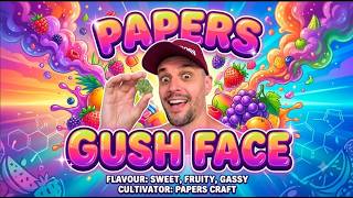 Papers Gush Face UK Medical Flower Review