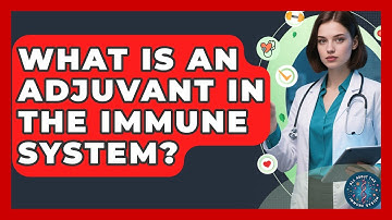 What Is an Adjuvant in the Immune System? | All About the Immune System News