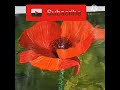 Red Poppy Flower Painting |Acrylic Painting for Beginners #shorts #youtubeshorts #art #flower