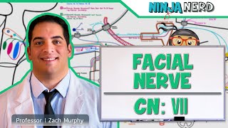 Neurology | Facial Nerve: Cranial Nerve VII screenshot 4