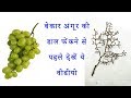 Best out of waste craft | waste grape bunch craft | Newspaper craft