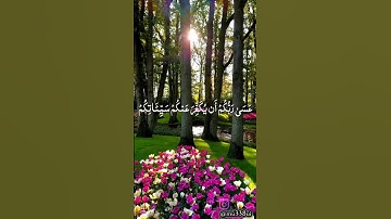 ماهر المعيقلي/سورة التحريم_توبوا إلى الله توبةً نصوحا #ماهر_المعيقلي #quran #قرآن #alquran #peace