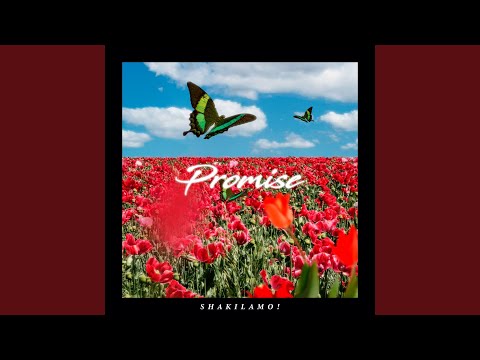YouTubeでPromiseを視聴