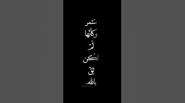#تلاوه_خاشعه #foryou #محمود_الشحات_أنور #القران_الكريم #like #اكسبلور #duet #اهميه #quran #دويتو