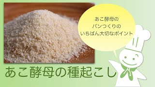 酵母メーカー直伝●食べ頃は2日目のパンつくり。あこ酵母の基本【生種起こし】