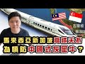 (開啟字幕) 馬來西亞新加坡高鐵夭折,為了慎防中國式的灰犀牛?權威研究解釋鐵路貢獻為何長期被高估?20210104