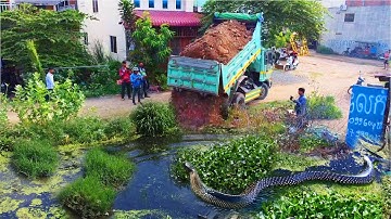 Wonderful New Project!! Landfill Delete Garbage Pond By Strong Dozer Pushing Soil & 5ton Truck.