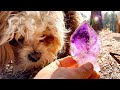 Sniffing Out Awesome Amethyst Crystals | Purple 💜 Mine| Part 2