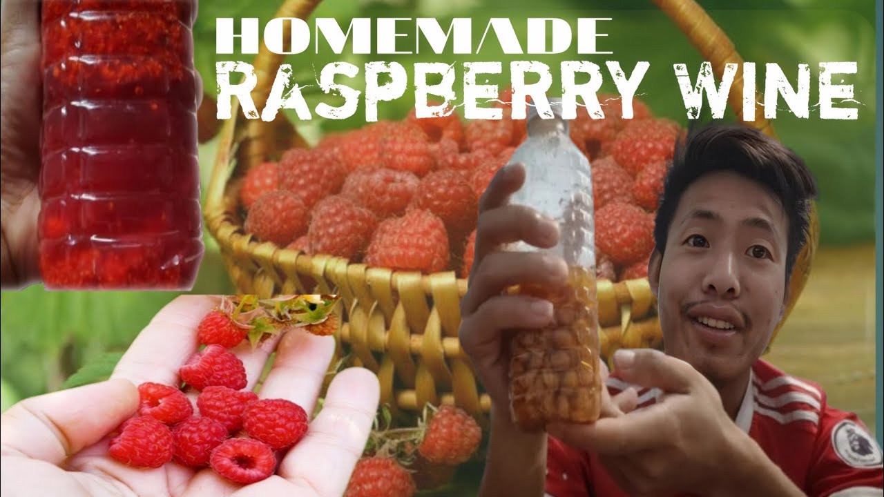 Wine Raspberry Leaves Homemade Raspberry Wine Recipe | Easy & Delicious - YouTube