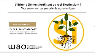 WAO n°4 : Silicium, élément fertilisant ou réel biostimulant ?