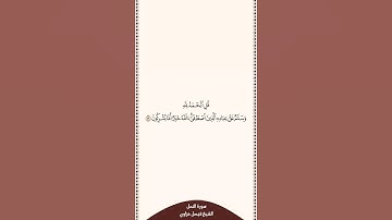 تلاوة في ٣٠ ثانية سورة النمل الآية ٥٩ الشيخ فيصل غزاوي