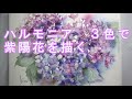 【透明水彩画】ハルモニア3色で紫陽花を描く