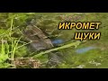 ТАКОГО Я ЕЩЕ НЕ ВИДЕЛ. ИКРОМЕТ ЩУКИ.